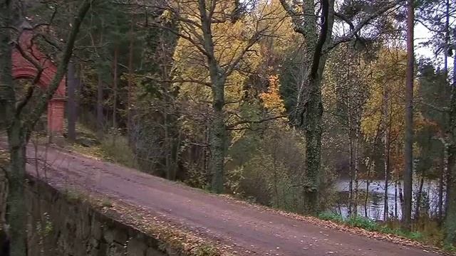 Осень, птицы, шум листьев смотреть онлайн