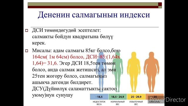 Тарбиялык сааттын темасы: "Туура тамактануу". Дене тарбия мугалими: Абдырахманова Кундускан смотреть онлайн