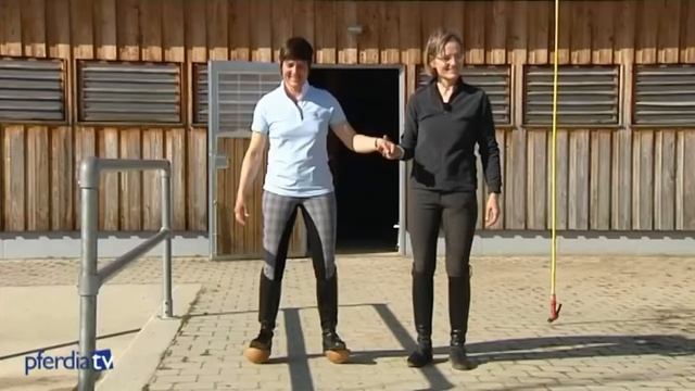 Упражнения на баланс в конном спорте смотреть онлайн