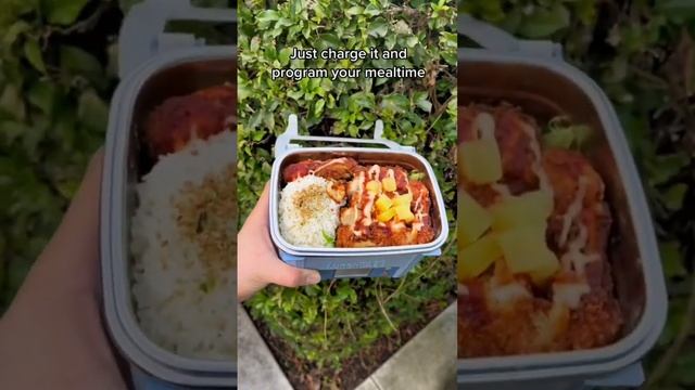 The words only cordless, smart, self-heating lunchbox! #lunch #lunchbox #lunchrecipe смотреть онлайн