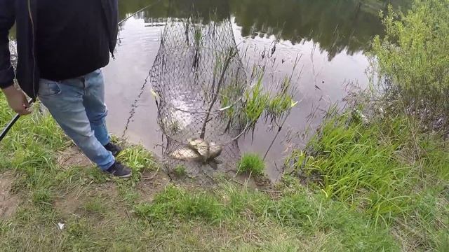 Минутка рыбалки.