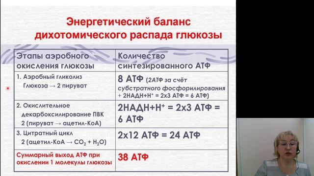 Биохимия 8. Дихотомическое окисление глюкозы. Глюконеогенез смотреть онлайн