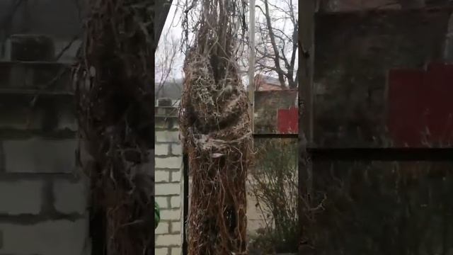 Чистка скважины в Новороссийске смотреть онлайн