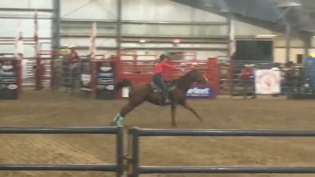 Ontario Finals Rodeo 2017 смотреть онлайн