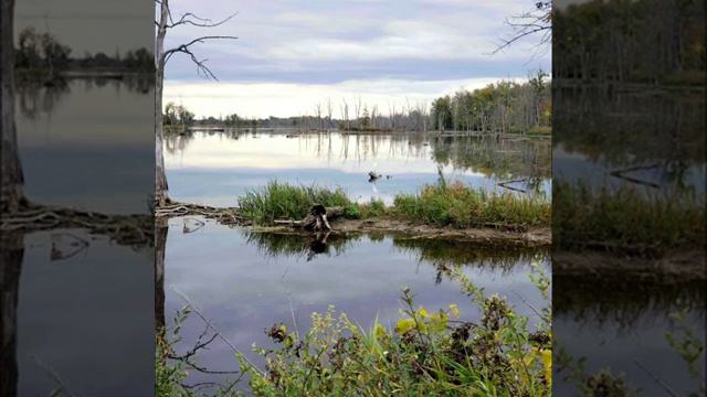 Поринаю я в океан Святого Духа. Христианская песня. смотреть онлайн