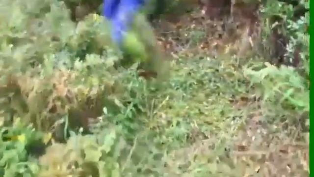 Мотоблок Ferrari 340 Bladerunner смотреть онлайн