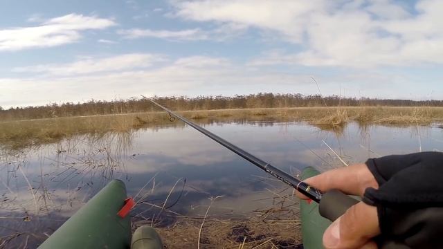 Таймень. Маленький хозяин болотной реки смотреть онлайн