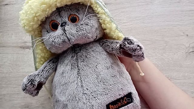 Распаковка котика Басика / Буди баса смотреть онлайн