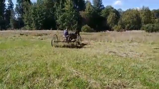 Грабли конные доставка сена 1 смотреть онлайн