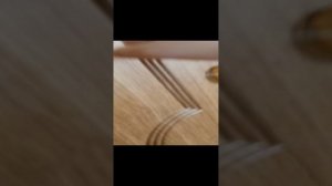 за мной следит моя сестра?!