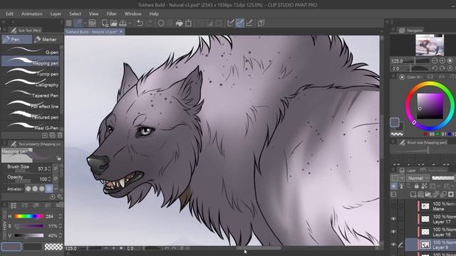 Declan || TIMELAPSE Tokota Design || Clip Studio Paint смотреть онлайн