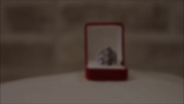 Biker Skull ring - Memento Mori double skull video review смотреть онлайн