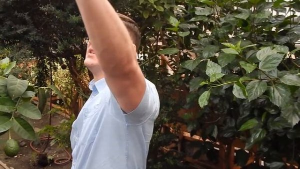 Саратов достопримечательности Лимонарий / Saratov attractions Lemonary