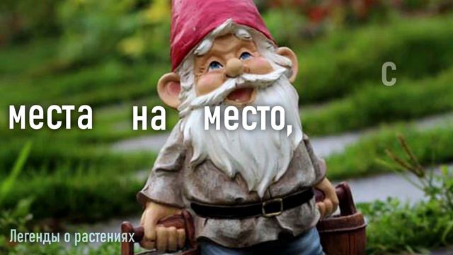 Черника смотреть онлайн