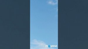 Николаевские голуби Олега Петровича(89281574705)г.Донецк РФ