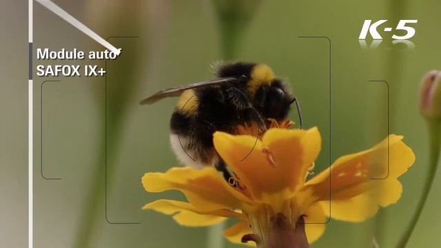 Pentax K5 смотреть онлайн