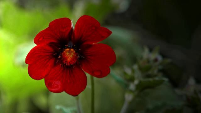 Реки самых хороших песен и фото онлайн смотреть онлайн