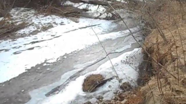 Река Шкотовка зимой смотреть онлайн