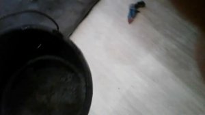 Очищаем ковер багажника в домашних условиях mitsubishi pajero 2