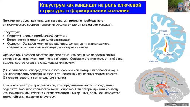 Brain Awareness Week 2022 Tsytsarev