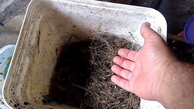 COMO FAZER UMA COMPOSTEIRA PARA CRIAÇÃO DE MINHOCAS смотреть онлайн