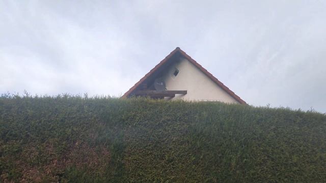 Как Иван из мухи слона сделал ))) смотреть онлайн