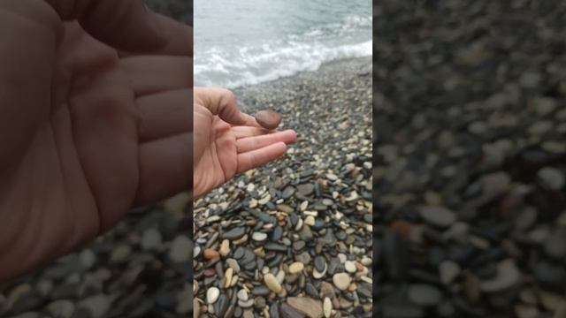 Геленджик Джанхот 🏖️✨ смотреть онлайн