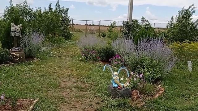 Жизнь без прикрас#Жить - значит растить сад. 29.06.2023год. смотреть онлайн