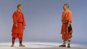 Шаолиньский кулак