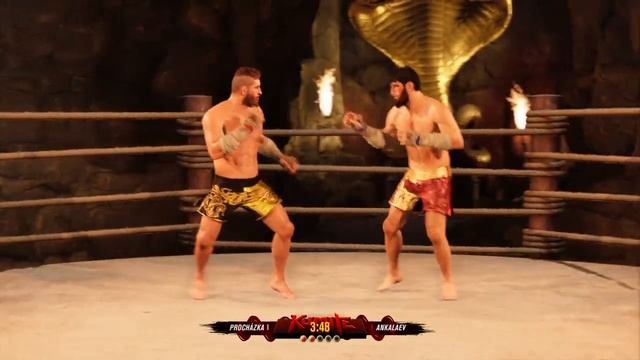 ИРЖИ ПРОХАЗКА VS МАГОМЕД АНКАЛАЕВ - KUMITE MMA FIGHT - UFC 4 CPU VS CPU смотреть онлайн