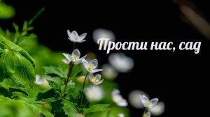 «Прости нас, сад...» // Художеcтвенный фильм