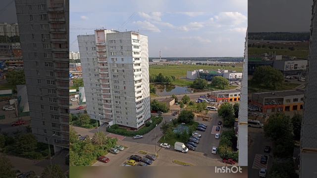Поиск улетевшего попугайчика продолжается! Оповещение через приложения. Ссылки в описании. смотреть онлайн