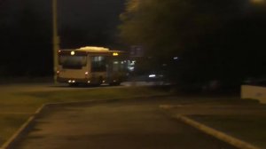 Автобус МАЗ 206 и автобусы ПАЗ "Vector Next".