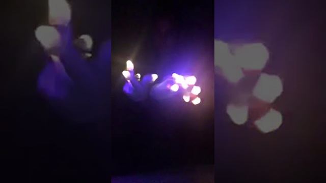 Elvish mushroom dance смотреть онлайн