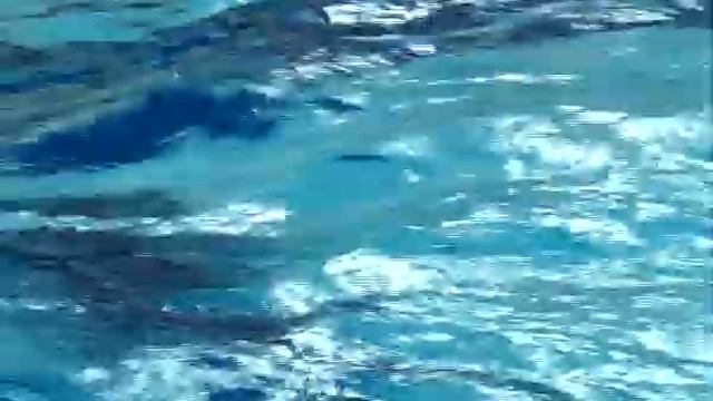 Новогодняя елка на воде (Братск) смотреть онлайн