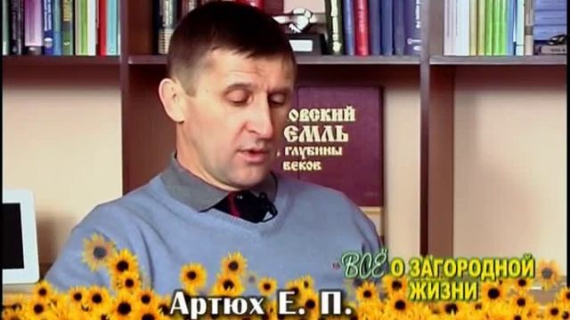 Учебник по Креативному Мастерству