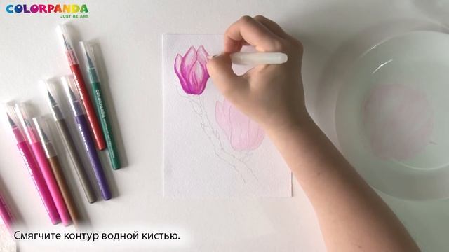 Акварельные кисточки-маркеры "COLORPANDA". Программа обучения, первая часть, для новичков: Урок № 3 смотреть онлайн