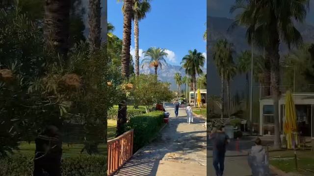 Travel Vlog: Кемер? В видео мы посетим Парк Лунный свет и Каньон Гёйнюк! #turkey #travelvlog #кемер смотреть онлайн