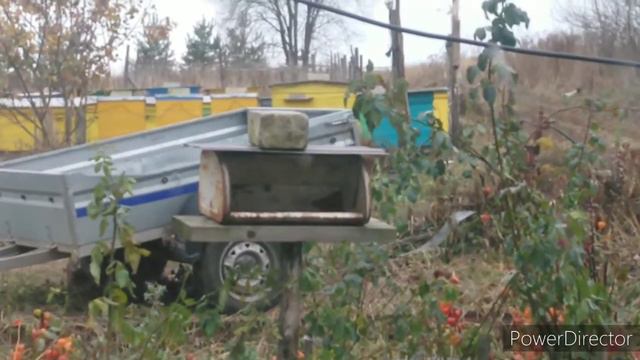 Будни хлебницы😊, тёплая шерсть и нет лучше её🙄. смотреть онлайн