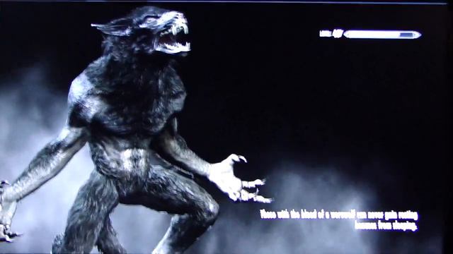 The Elder Scrolls V: Skyrim Dragonborn DLC pt22: A New Source of Stahlrim pt2/Lost Legacy смотреть онлайн