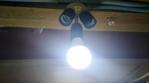 Правильное освещение в курятнике. 5 советов.