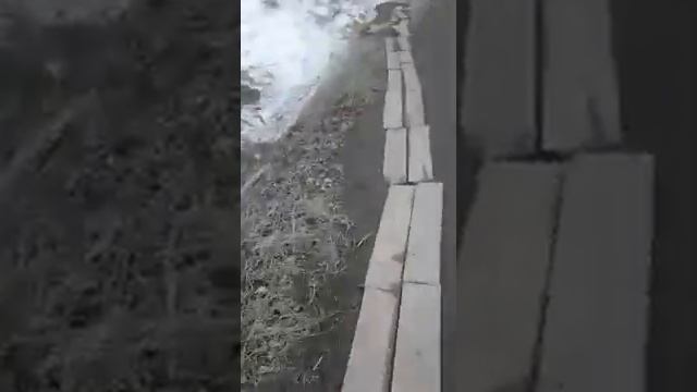 Новый вид брусчатки в Южносахалинске смотреть онлайн