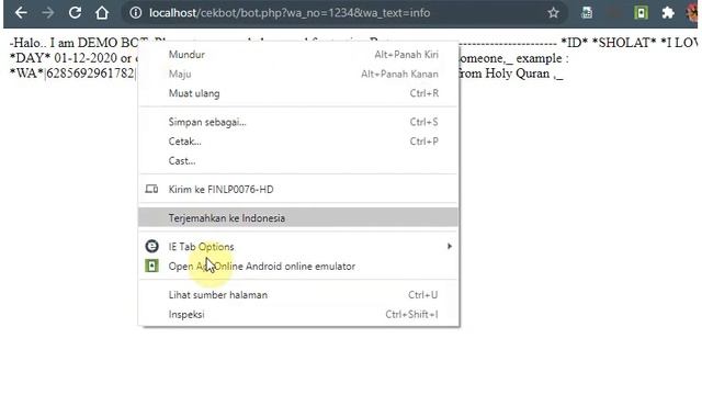Check and Testing WhatsApp Bot PHP using Browser смотреть онлайн