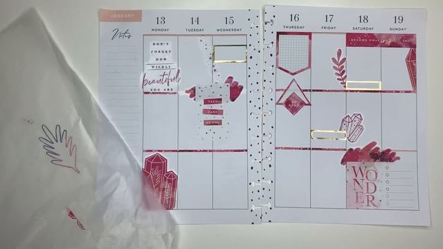 Catch All Classic Happy Planner Using Stargazer Sticker Book | Plan With Me смотреть онлайн