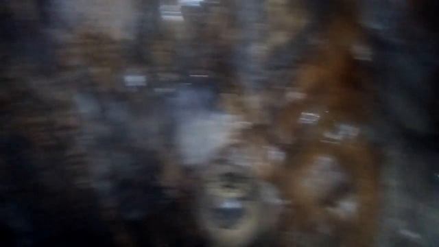 VISITA A LA CUEVA DE NERJA!!!