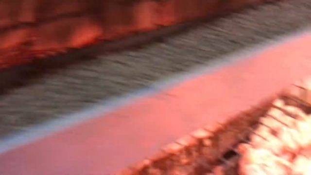 Перепелки в ЛПХ Фроловых - бизнес в деревне. смотреть онлайн