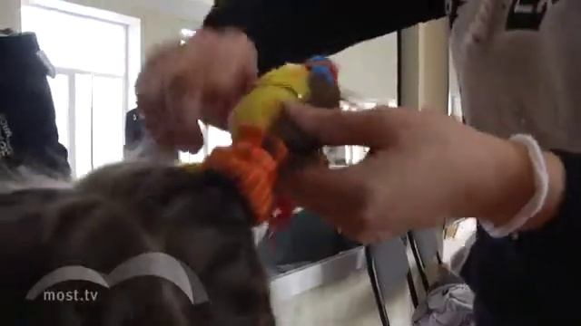 Липецк. Мост. Цирковые коллективы Липецка смотреть онлайн