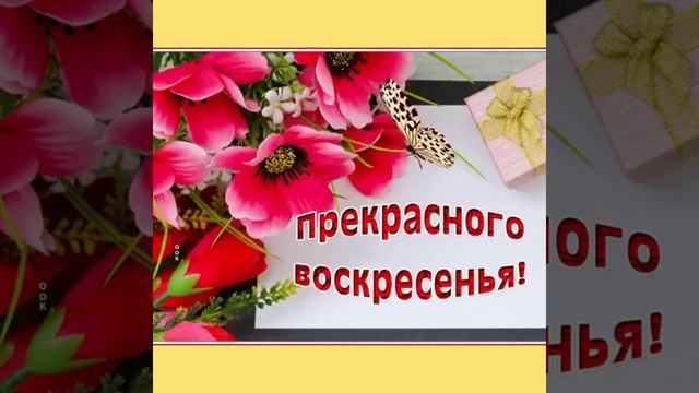 Воскресенье 7 ноября... Доброго воскресного утра!.. смотреть онлайн