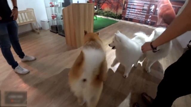 Malacca Malaysia Travel Guide: 13 BEST Things To Do In Malacca (Melaka)