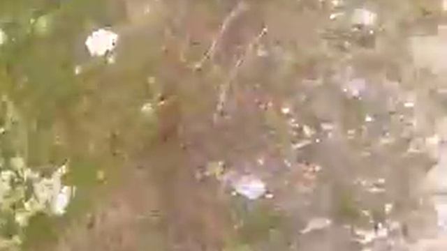 Римская Дорога! смотреть онлайн